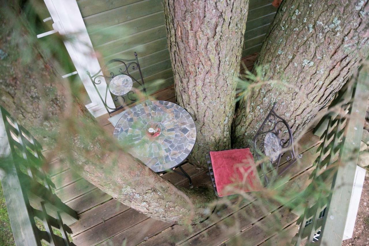 Sodyba Namelis Medyje Anyksciuose Anykščiai Extérieur photo