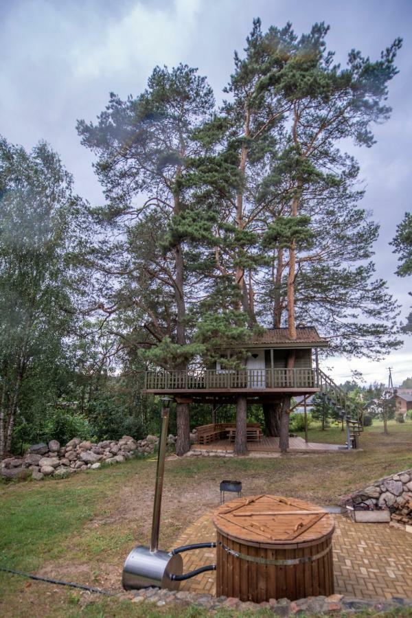 Sodyba Namelis Medyje Anyksciuose Anykščiai Extérieur photo